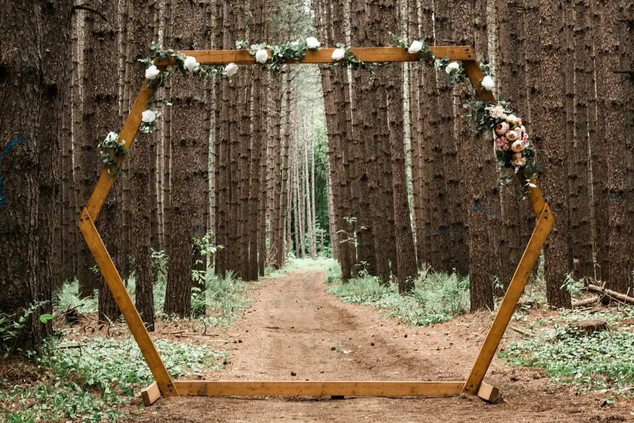 A hexagonal timber arch at the end of a path through tall evergreens